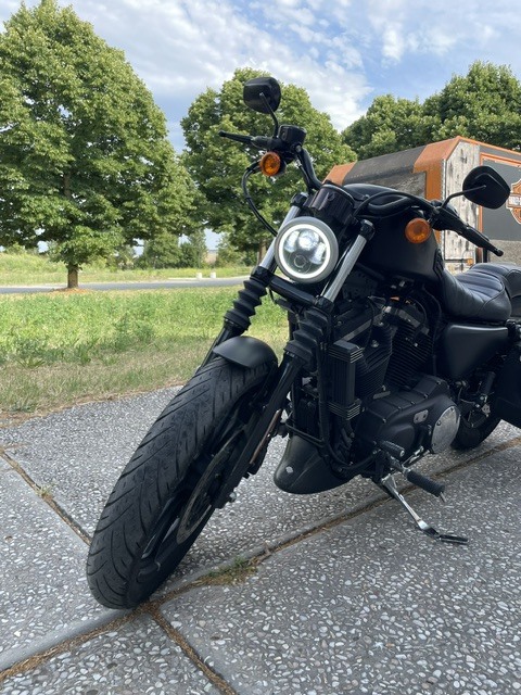 Harley-Davidson Ravenna IRON 883 